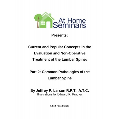 Current & Popular Concepts in the Evaluation and Non-Operative Treatment of the Lumbar Spine: Part 2: Common Pathologies of the Lumbar Spine