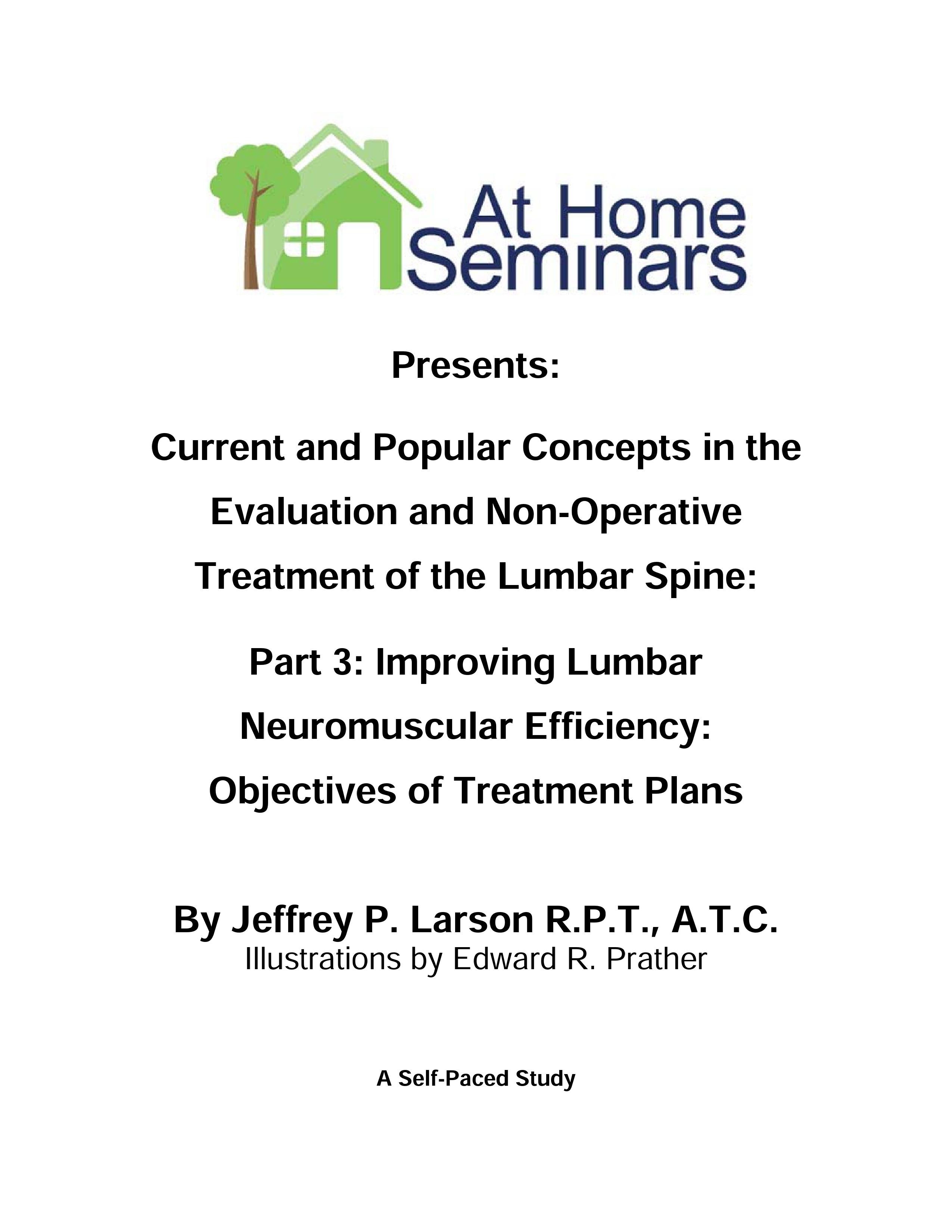 Current & Popular Concepts in the Evaluation and Non-Operative Treatment of the Lumbar Spine: Part 3: Improving Lumbar Neuromuscular Efficiency: Objectives of Treatment Plans