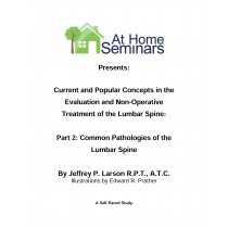Current & Popular Concepts in the Evaluation and Non-Operative Treatment of the Lumbar Spine: Part 2: Common Pathologies of the Lumbar Spine