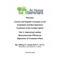 Current & Popular Concepts in the Evaluation and Non-Operative Treatment of the Lumbar Spine: Part 3: Improving Lumbar Neuromuscular Efficiency: Objectives of Treatment Plans