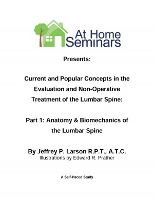Current & Popular Concepts in the Evaluation and Non-Operative Treatment of the Lumbar Spine: Part 1: Lumbar Spine Anatomy & Biomechanics